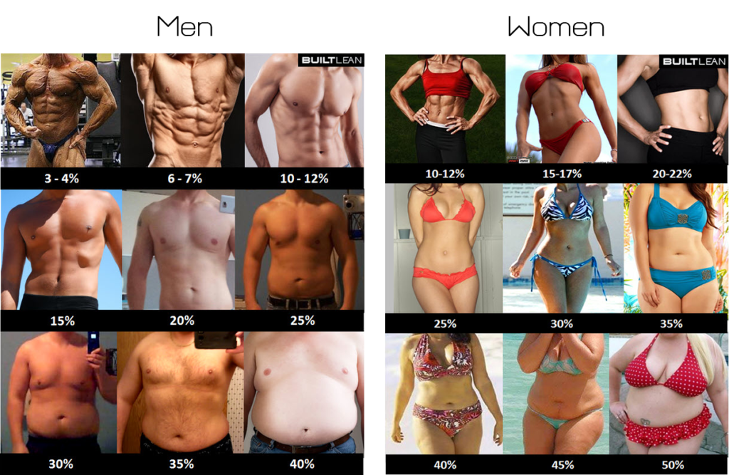 体脂肪率と見た目の目安（左：男性　右：女性）